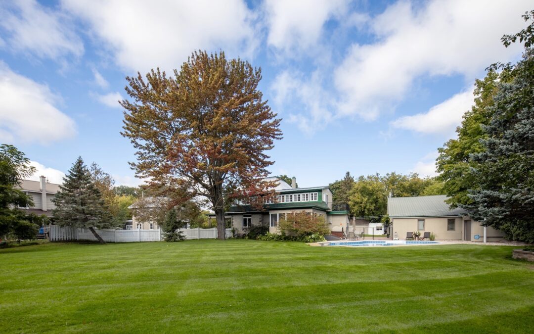 Guide complet pour semer le gazon