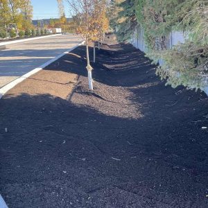 Terreau pour bassin de biorétention biofiltrant Filtralee